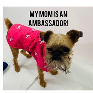 I am a posh ambassador!